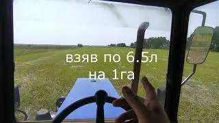 абибуло