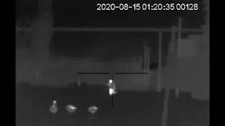 Тепловизионный прицел на базе Pulsar QUANTUM