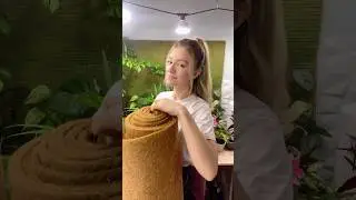 Тотемизация в моём понимании😂 Не обязательно набивать мхом трубу для каждого растения #ароидные