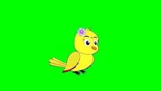 Tuni chidiya bird cartoon green screens 96 background character no copyright birds flying talking