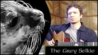 The Grey Selkie - Michael Kelly - (Maz O'Connor cover)