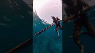 ¿Qué Hago Si Me Da Miedo La Pesca Submarina? #shorts