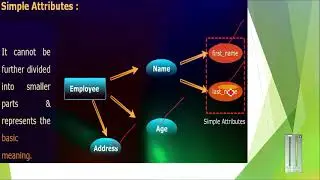 simple or atomic attribute in entity relationship diagram (ERD) in urdu hindi | Atomic attribute |p7