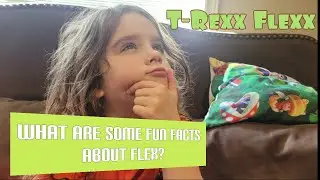 Fun Facts With Flex! Fun Questions To Ask Your Child!