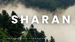 Discovering Sharan Forest: Nature's Untouched Paradise