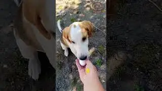 Полное видео смотрите на канале 