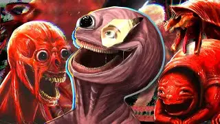 An Interview with the Creator of VITA CARNIS! 
