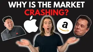 WHY IS THE STOCK MARKET CRASHING AGAIN