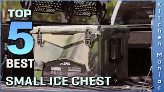 Top 5 Best Small Ice Chest Review in 2025