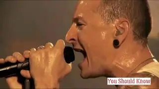 ICONIC CONCERTS WE CAN'T ATTEND ANYMORE.