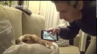 Мем смешной - ситуация страшная...