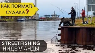 HE CAUGHT PIKE-PERCH DIFFERENTLY FROM EVERYONE ELSE❗️REVEALING THE SECRET OF FISHING IN HOLLAND!