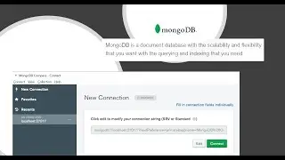 MongoDB and C# Journey || Beginner to Professional || MongoDB for Beginner || MongoDB GUI Compass