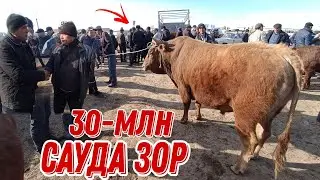 ШЫМБАЙ МАЛ БАЗАР/19-МАРТ.2023/СКОТНЫЙ РЫНОК ШЫМБАЙ/DEM BERMES/SHIMBAY MAL BAZAR 2023/MAL BAZAR 2023