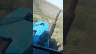 Шөп шабу науқаны - 2023. Пресс.