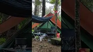 Disini kok beda ya