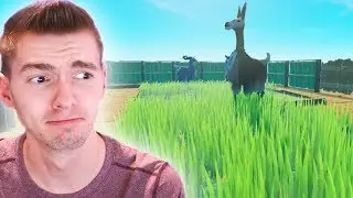 FIZ UMA JAULA GIGANTE para os ANIMAIS!!! - Raft