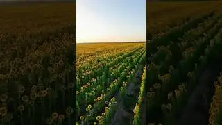 The Secret Beauty of Uzbekistan