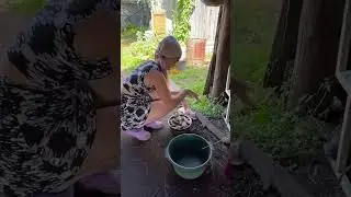 Архив💙 еда для птиц