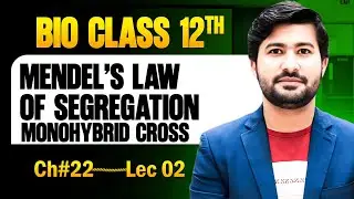 22.2 Mendel's Law of Segregation | Monohybrid cross | Fsc 2nd year Biology