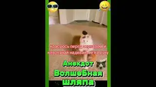Анекдот про Волшебную шляпу. 