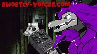 Huge Compilation of EVPs | Strange Sites