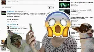 AGRADEZCO A 5 PERSONAS QUE SIEMPRE HAN ESTADO AHÍ/LEÍ ALGUNOS DE MIS COMENTARIOS/ BICHO GIRL CHANNEL