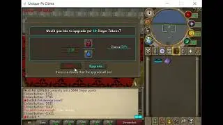 Unique-Ps Custom Rsps Slayer update