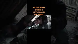 My dog ​​Bonny SAVING a little dog in the woods