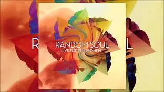 Are We ♫ Random Soul Ft. Kyla Sexton