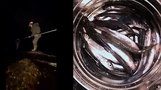 Dipping Smelts And Cooking Them