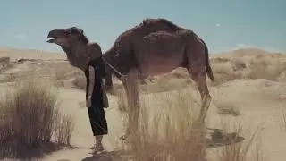 Красиве відео Beautiful video