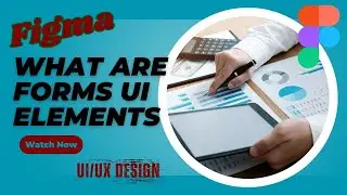 What Are Forms UI Elements in Figma | Essential Guide for UI/UX Designers