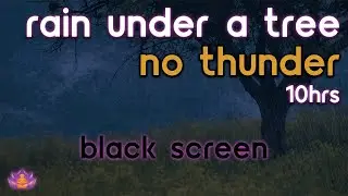 [Black Screen] Rain Under a Tree Sounds | Rain Ambience No Thunder | Rain Sounds for Insomnia
