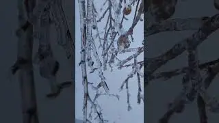 или подпишись на мой канал https://twitch.tv/kotaboroda