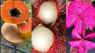 Farm fresh Ninja fruit cutting/Oddly Satisfying fruit Ninja mixed#shorts#ninja#farm#satisfying#fruit