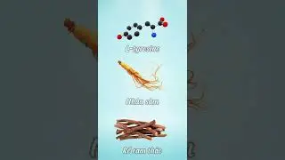 THẢO DƯỢC - THỰC PHẨM CHỮA LÀNH TUYẾN GIÁP | HADOO IHEALING #shorts