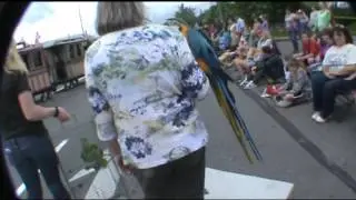 whaling days 2012