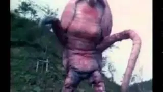 Китайский ебаный пиздец