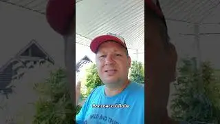 мобилизация 11 сентября? #волхонскийлайв