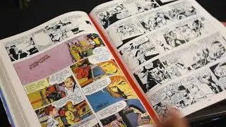 Masters Of The Universe: Newspaper Comic Strips [QuickCheck]