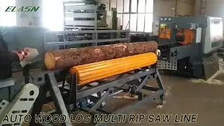 Auto wood log multi rip saw machine in Czech Republic client workshop n
