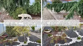 Прогулка по саду с редкими хвойными растениями. Продажа растений.