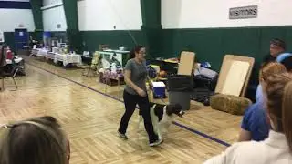 Princeton Barn Hunt Instinct Q run 12-2-17