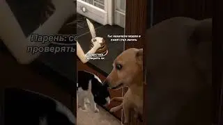 Хорошо когда свой пк🤝 