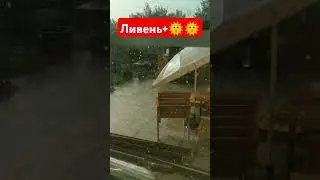 Ливень и солнце ☀🌝🌞