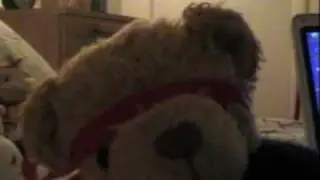 Charlie Bear Dancin'