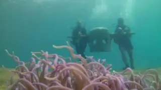 Marine Conservation and Diving in the Philippines | Building amazing artificial reefs | KILROY