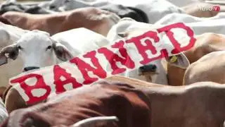 BEEF BAN: Modi's Govt Snatched Away Poor's Job