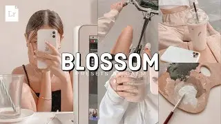 Blossom Preset | Free DNG File | Mobile Lightroom Tutorial 2021 | Presets by CA EM